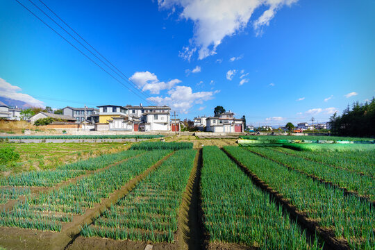 大理农村风光