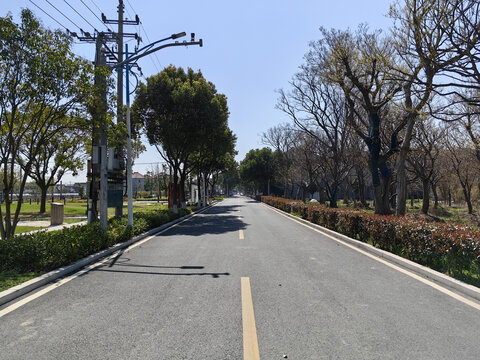 浙江农村公路四好农村路建设