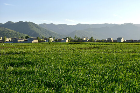 乡村黄昏