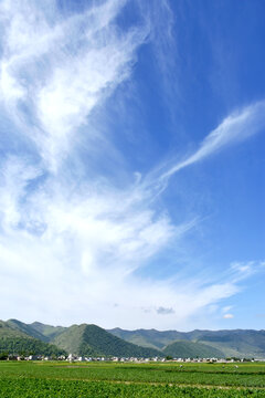 藍天綠樹新農村