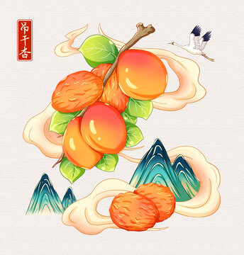 吊杏干插画手绘