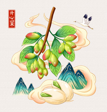 开心果插画手绘