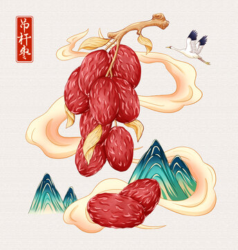 吊杆枣插画手绘