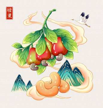 腰果插画手绘