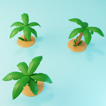沙滩自然椰子果实沙滩植物3D