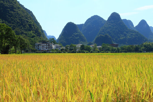 阳朔十里画廊