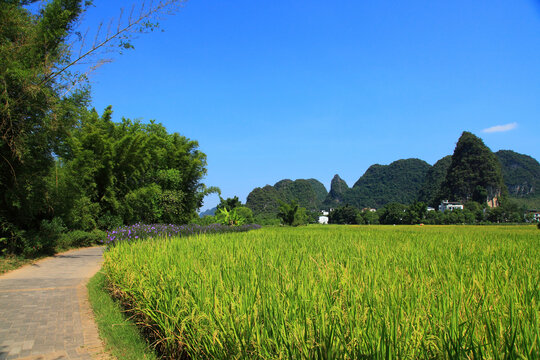 阳朔遇龙河