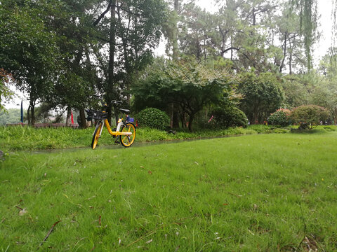 公园绿地自行车