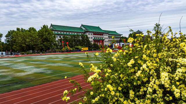 夏日里的长春吉林大学校园景