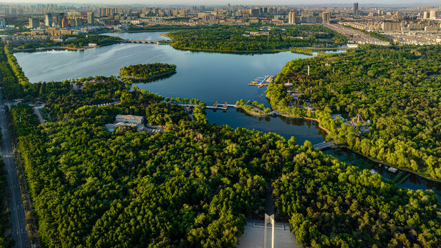 夏日里的长春南湖公园风景