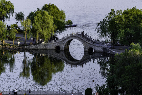 夏日里的中国长春南湖公园风景