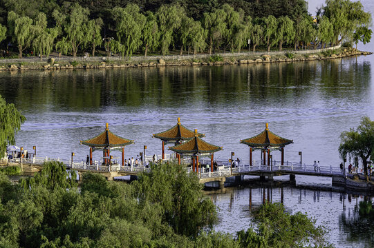 夏日里的中国长春南湖公园风景