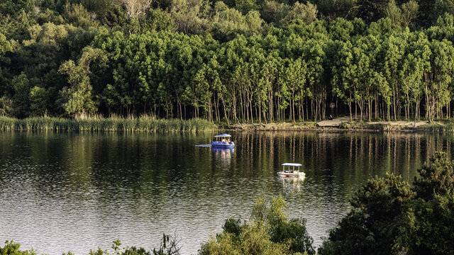 夏日里的中国长春南湖公园风景