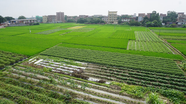 广东农村