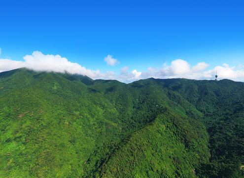 深圳梧桐山