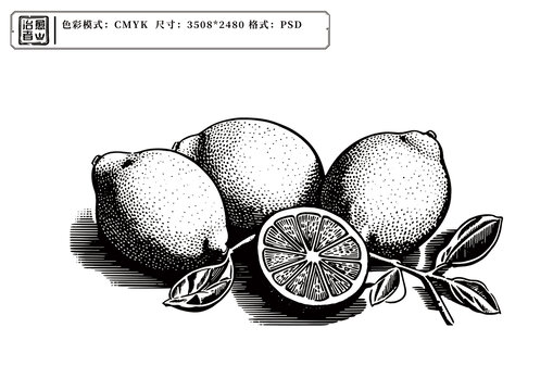 檸檬插畫黑白版畫