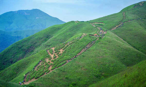 高山牧场