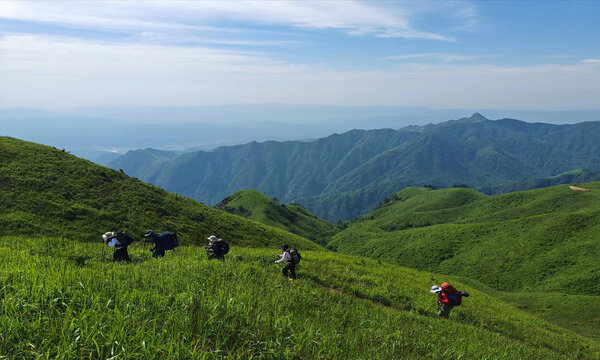 草原牧场