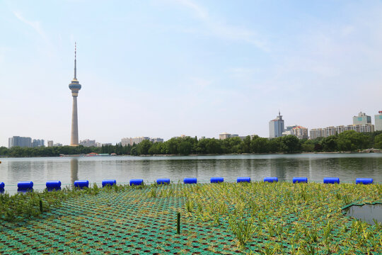 北京玉渊潭公园夏季景色