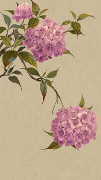 古風(fēng)粉色繡球花