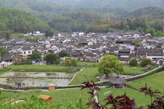 西递古村全景