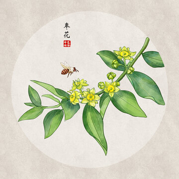 棗花