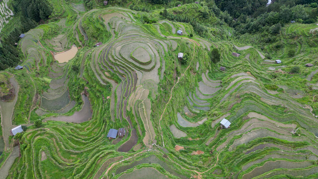 加榜梯田