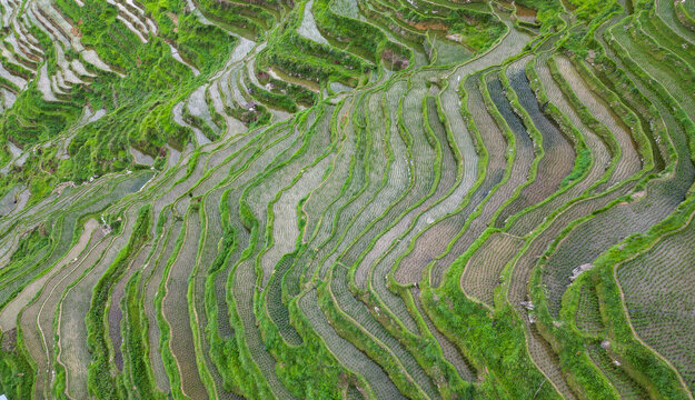 加榜梯田