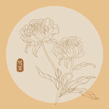 芍藥線描
