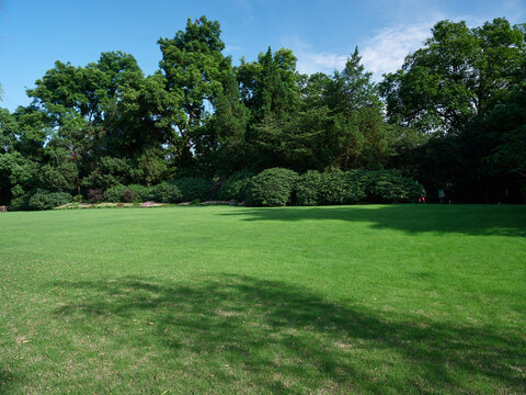 夏季蓝天草地