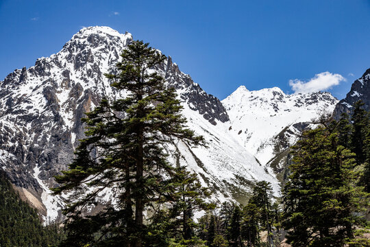 西藏林芝察隅雄珠拉垭口雪山美