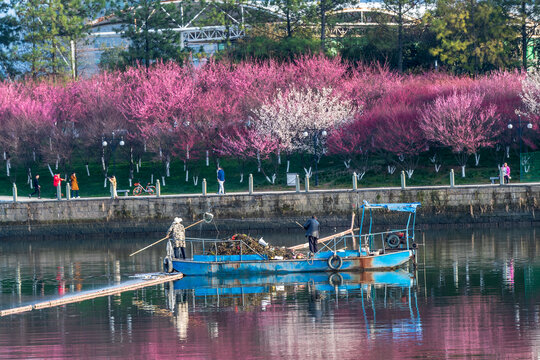 浙江五水共治清理河道