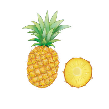 菠蘿