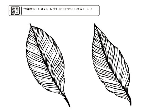 茶葉樹葉版畫插畫