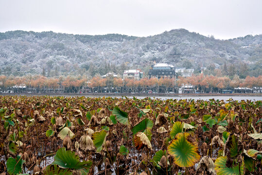 雪后西湖