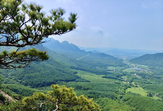 绿色的山岭