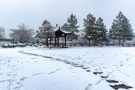 义乌香雪园雪景小路园林景观