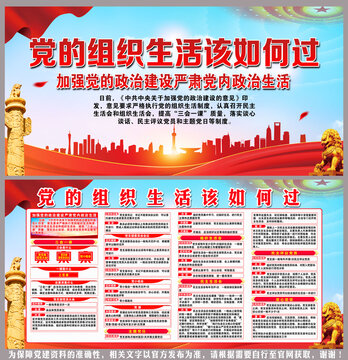 黨的組織生活