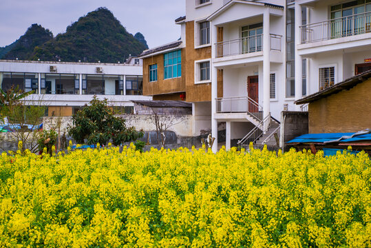 山村春景