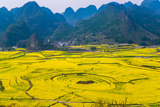 田园春景