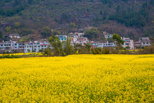 田园春景