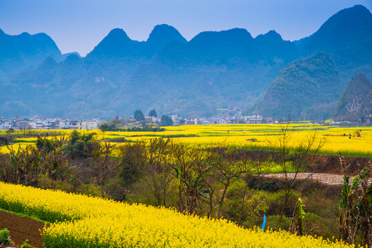 春天的田野