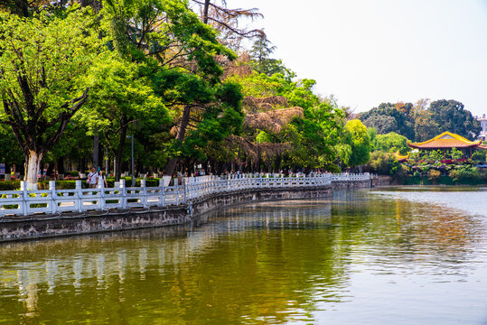 昆明翠湖公园