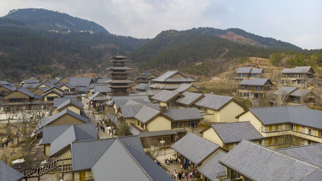 东山问梅村