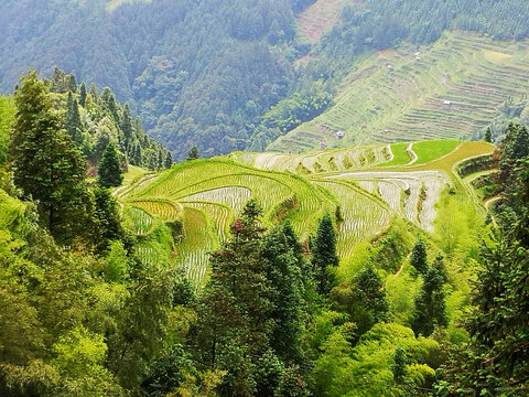 山区田园