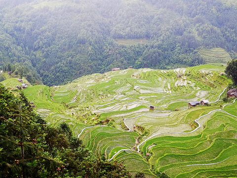 加榜梯田