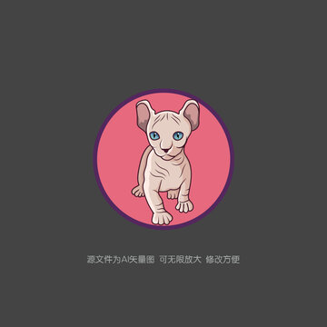 斯芬克斯貓