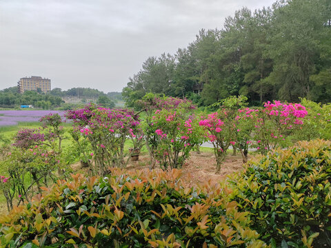 木兰花乡