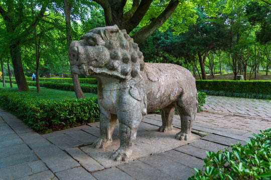 南京明孝陵石象路