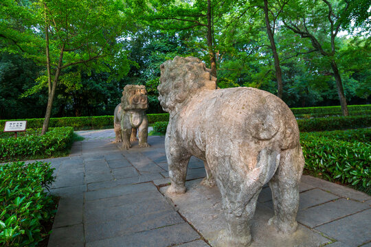 南京明孝陵石象路